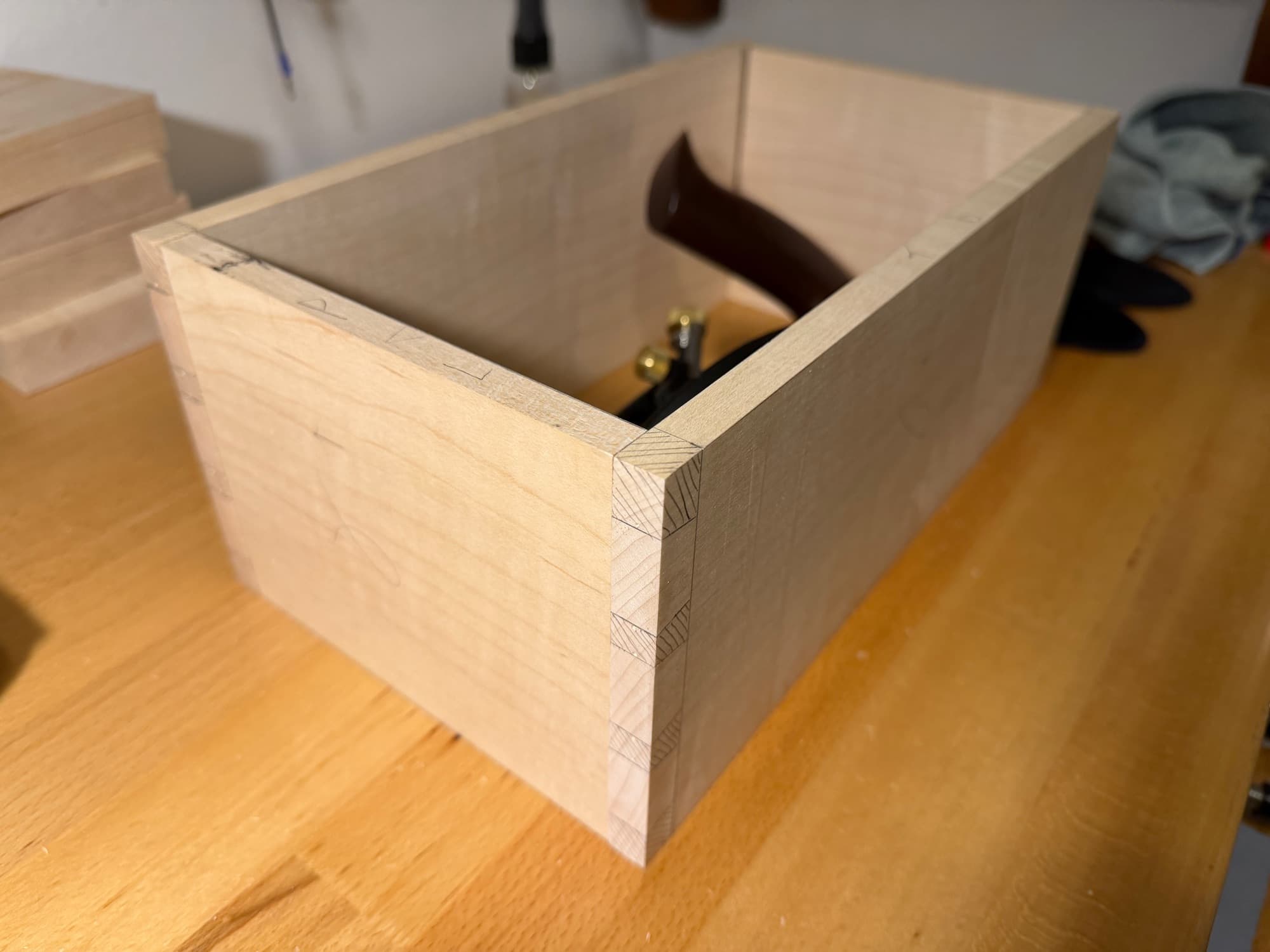 Maple Box with Walnut Lid in progress