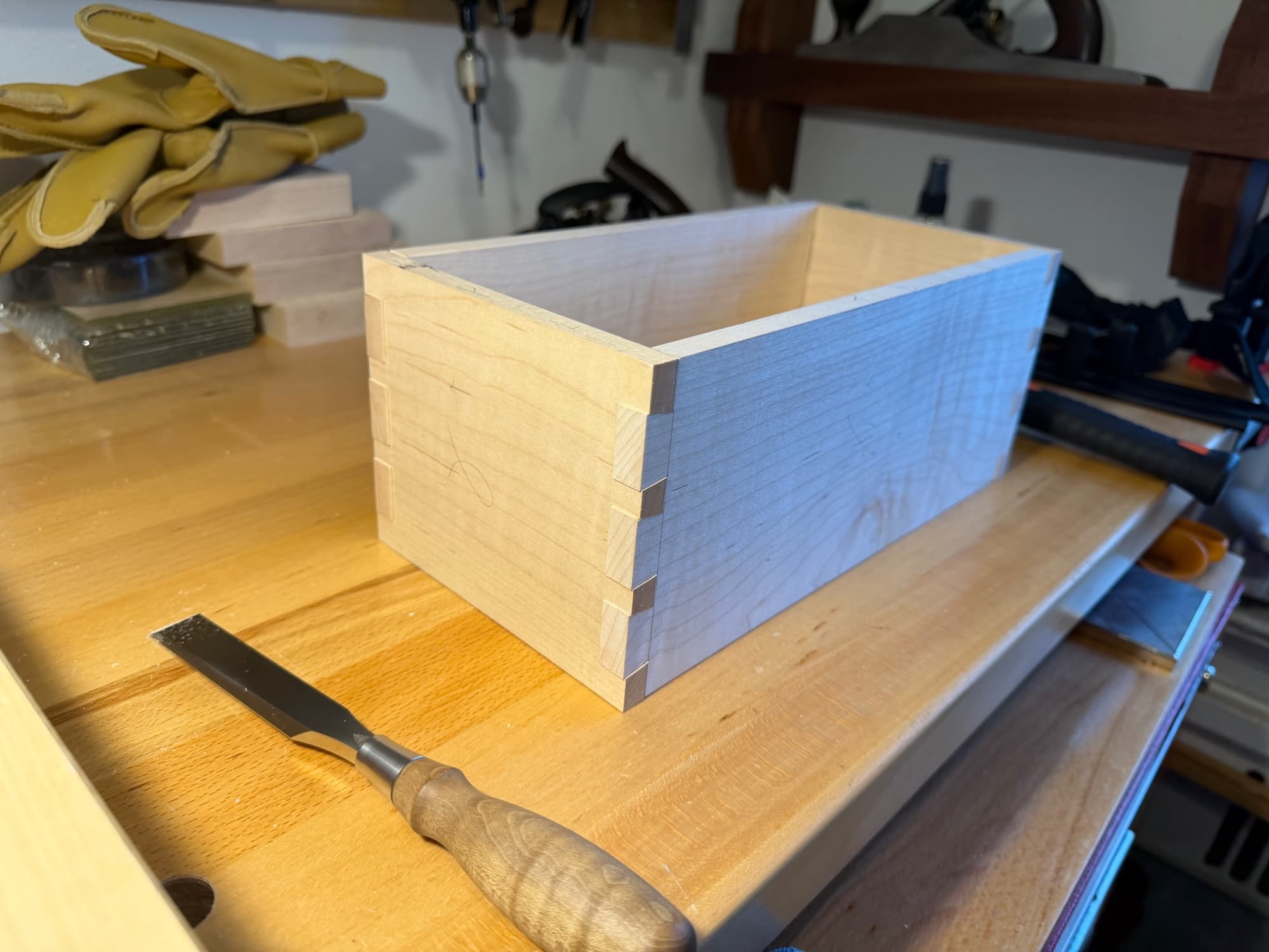 Maple Box with Walnut Lid in progress